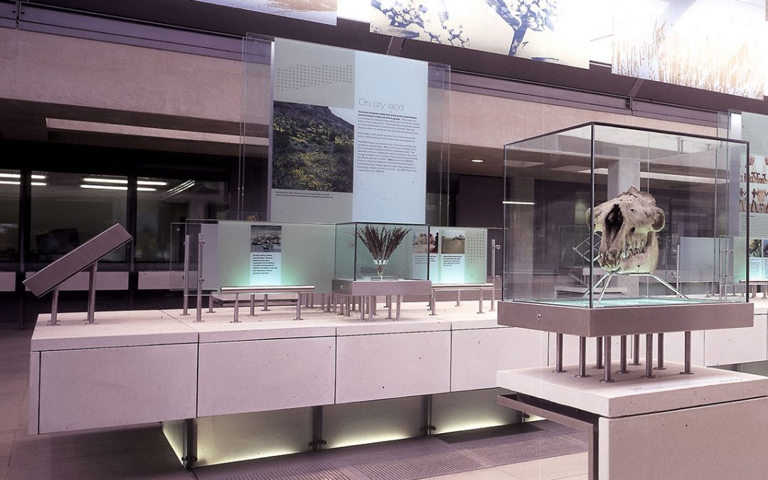 Millennium Seed Bank