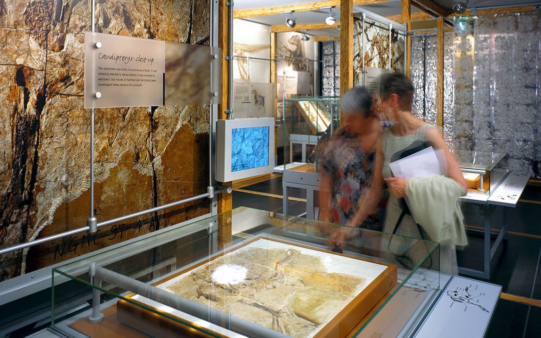 Natural History Museum